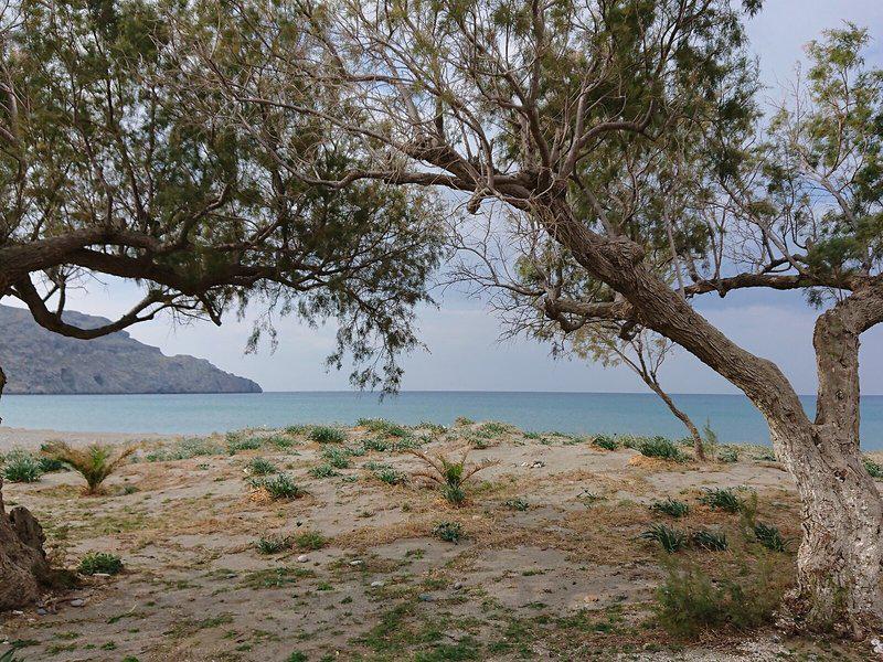 EA4950589FF530A3EA62ED01D7E110AC