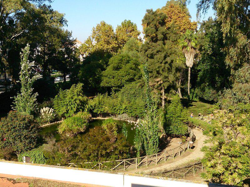 11ACD9210E8995A86DFF2A495175A6D2