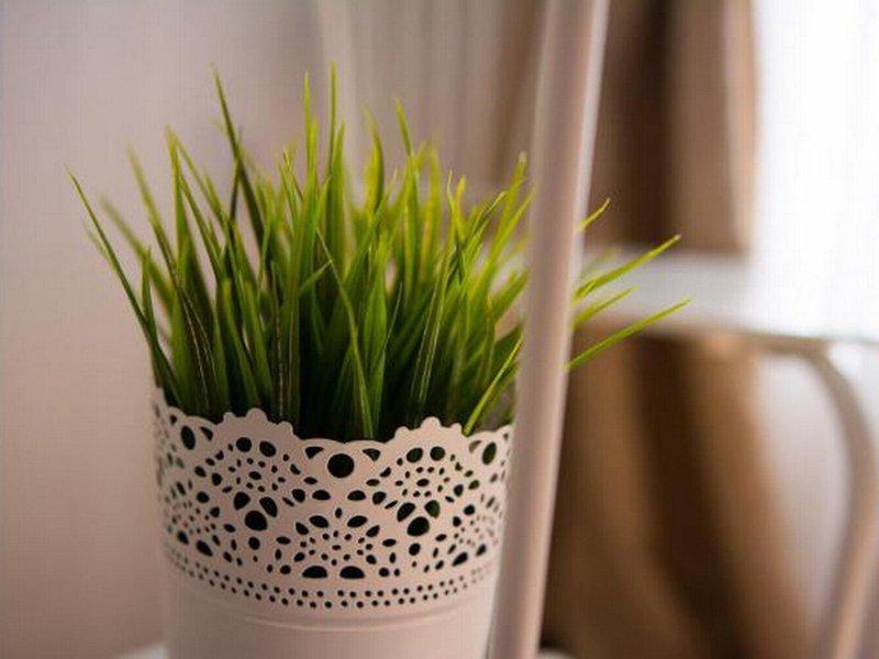 8116D5427FA22DE5614913F64C4D5ED4