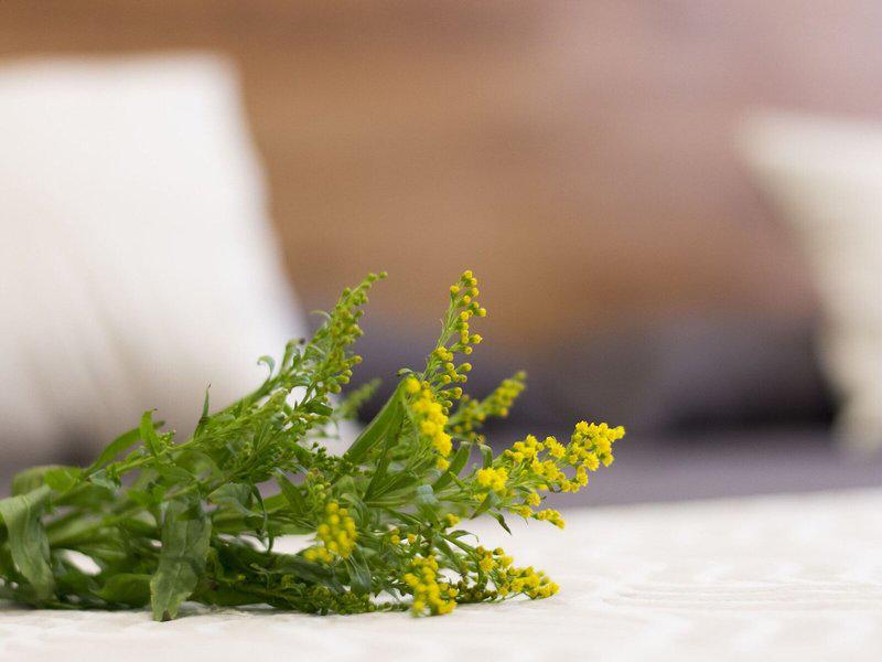 690183E6BDFEE966F23AD22C8D130AC9