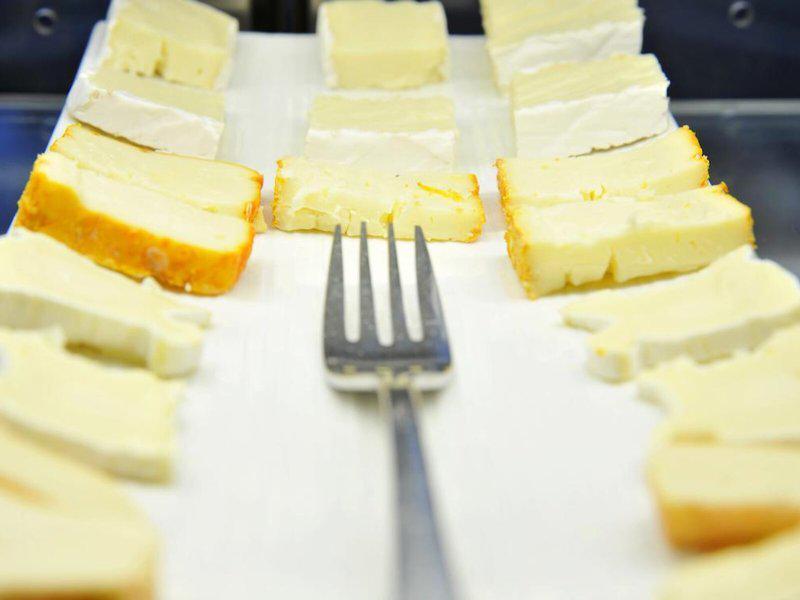 DF85348A9C63879938216167529DECCC