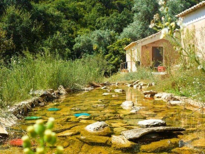 21FFC38E935A154868BFDB2A767A4709