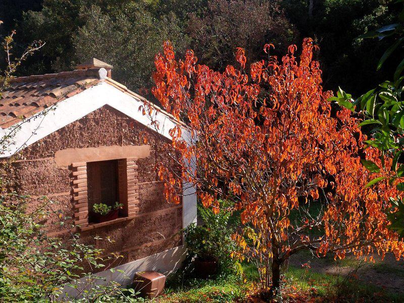 CD2A2089176B386B30725E79645C6552