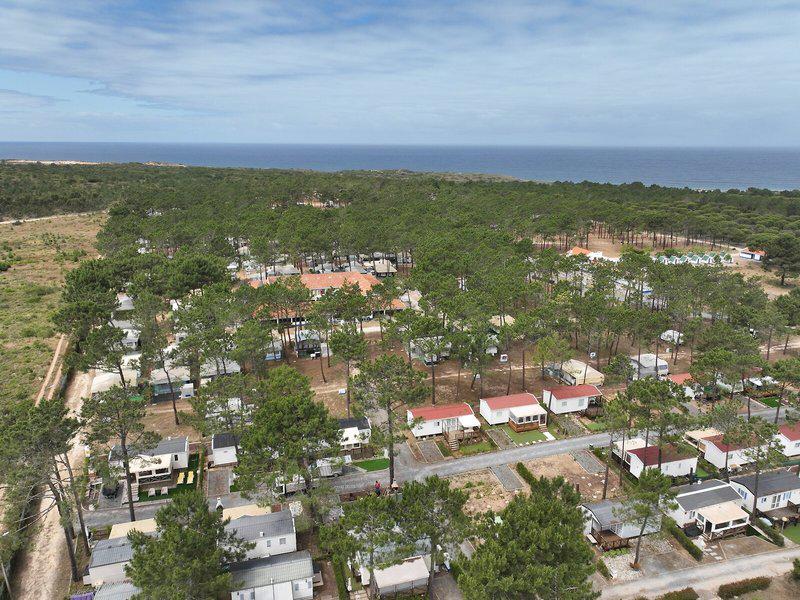 A7D8930F9E9D313B8A2FA1F89F6AE0CA