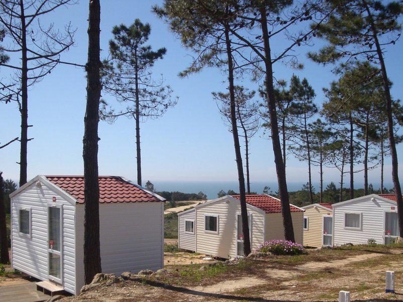 01C05D2181AC774CE047966BCB73D746