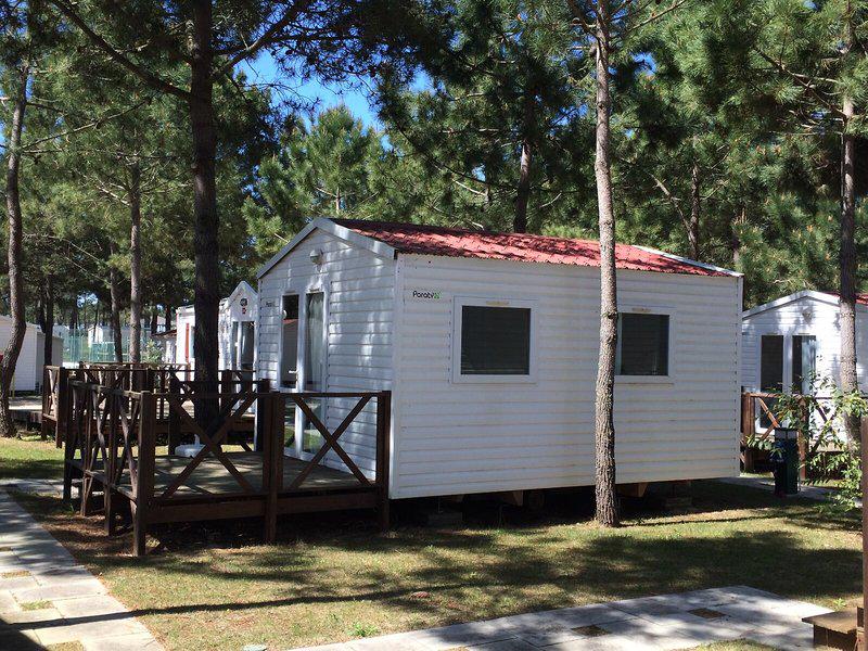 DD1598E222E43D841714B041C6F3684B