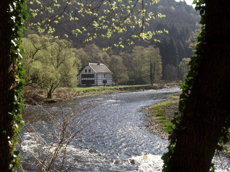 2C2F8D324DE664CD61CEF6853D84EA0E