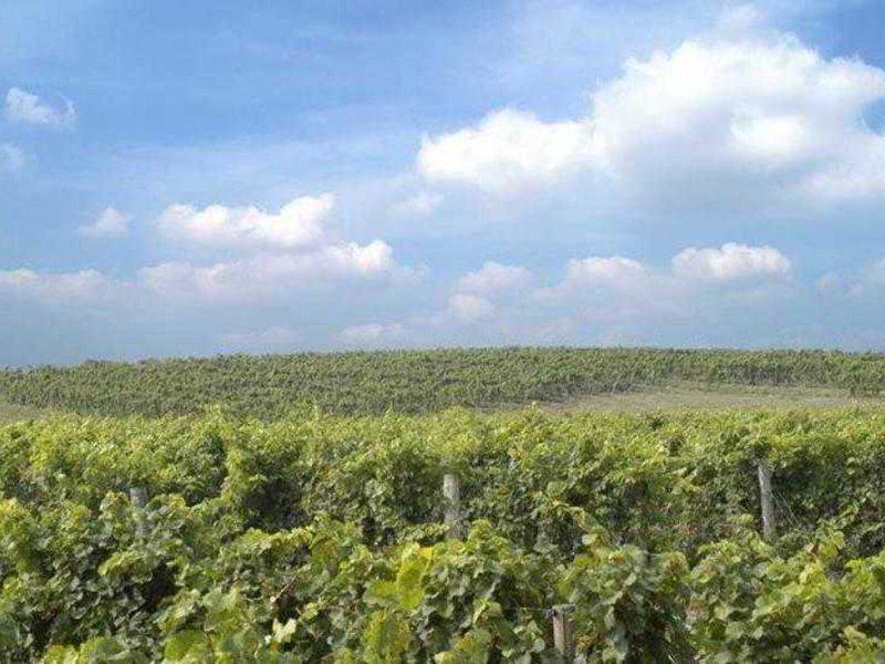 5FB3D4AAB978ECADD632DEB6465BA89F