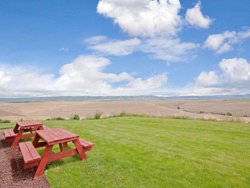 013FD82EAF5F04CA7C8091354FFFA8C5