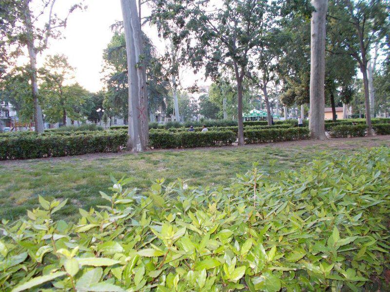 C6A0A73DB4750D4D3EE86D096023827F