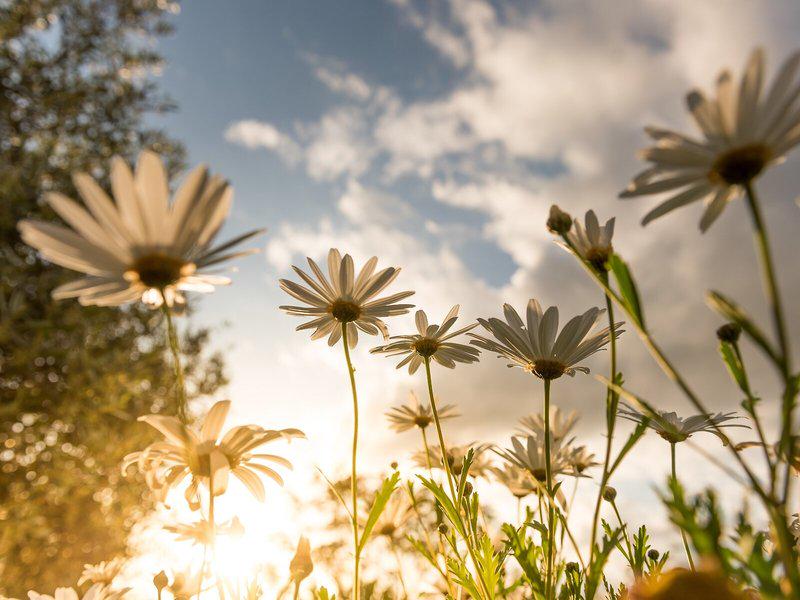 275332006A36FDBA6CF7C1CC7DBF868A