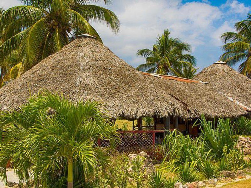 86B78D929C0B63F471F715EFECDE54BA