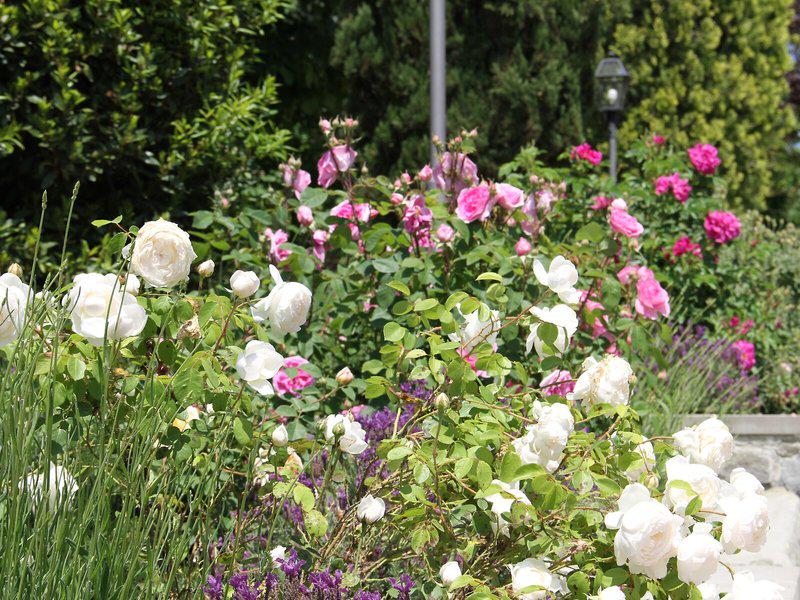 3DDC7D04D0721C8144D8A6AE3622E3FE