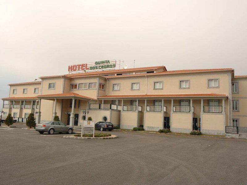 036B32C12F49536EB0A97A6A2A42089E