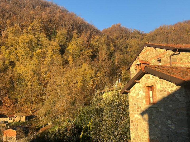 B4BD2909AE77D06BAA9CD842C7F4856B