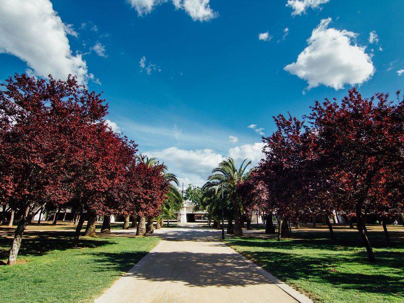 71F90FFA48F286D5E55809CD2F477C89