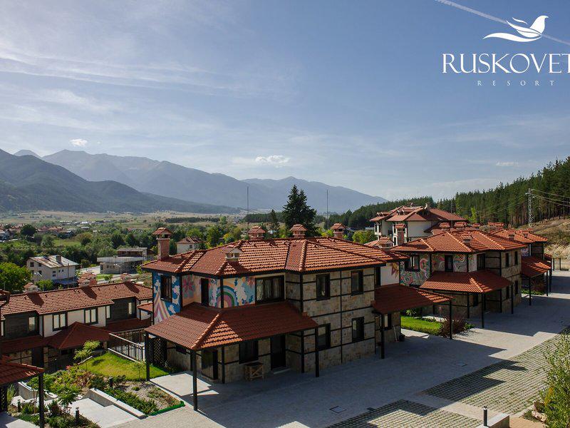 4A20AF7753E224551C9652B6426E0E93