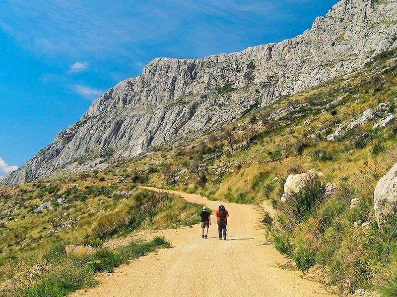 D20D1F78D8FE416C3482FBA79039D061