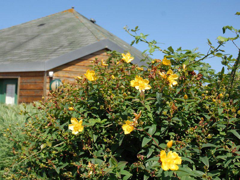 04F309408BE27FE8D8BFBD2DCA6D9036