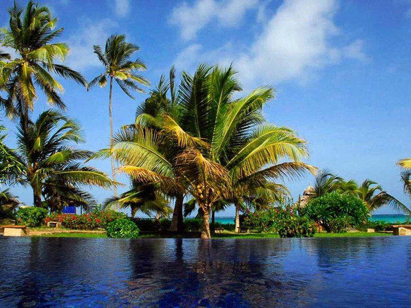 42D732F60C7CDCE5DD6C0DFE9AE42047