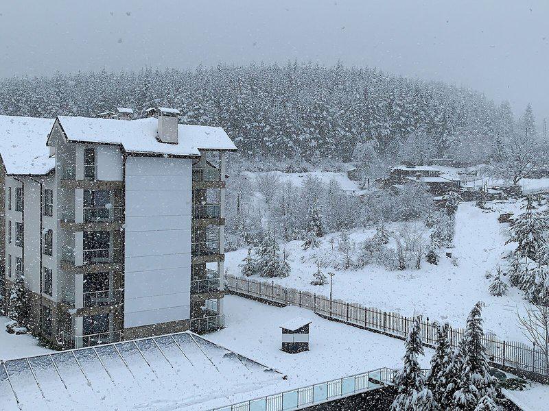 21C9748D8EABF01D955F0E09A40DC6A2