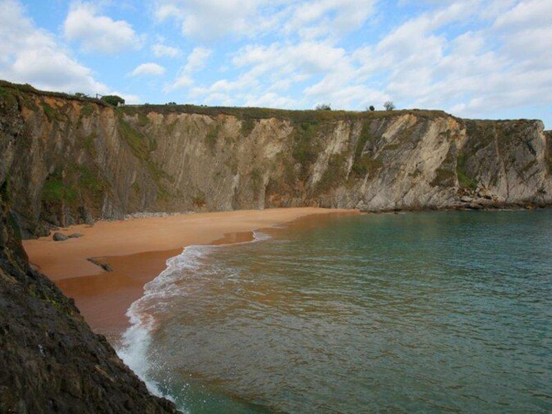 91C044A9A196E984714FB629CEE48735