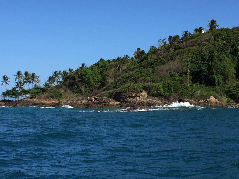 C2D33D501C06101BFAF2063AB0686088