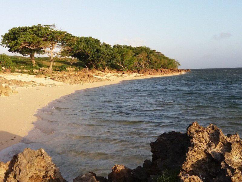 11305052560B1325046EF12EB530BA7B