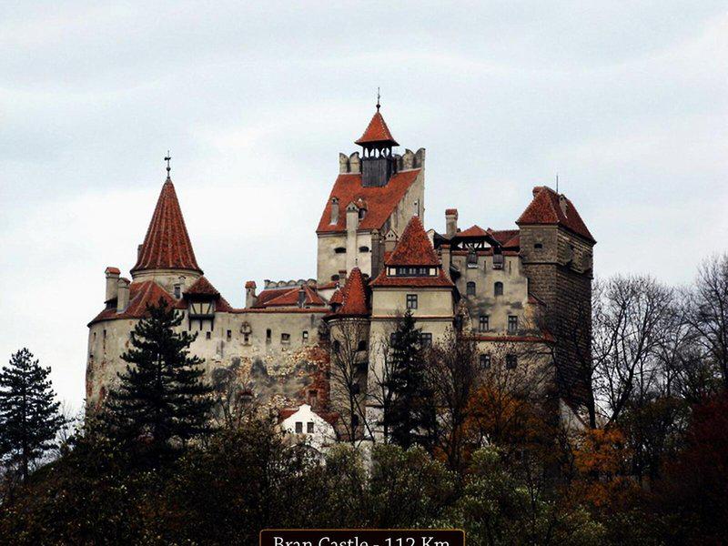 3B66B96E1E8ED9F9705DE73753186CDC