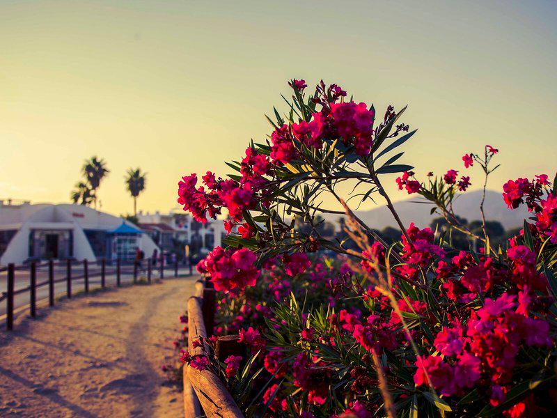 501660796B2640FBDC28861EBEB26607