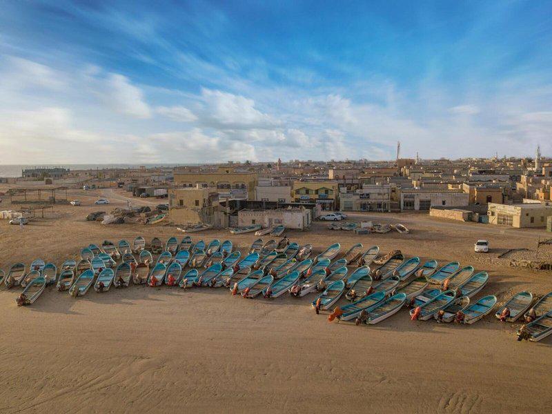 A25E2CBD46593C5FE118886A7457F64C