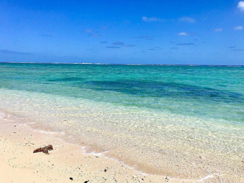 55977009A1139B125175B6407B90DA31