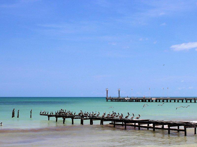 D6E690BC88E2BFE45F54374A6041DEF4