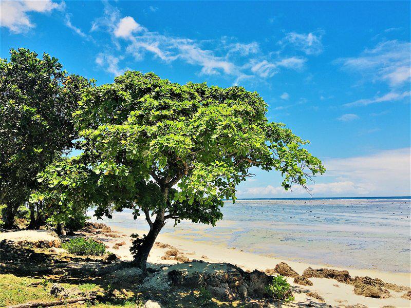 8DBC00509CAFE450D3BA13641FCCBDBF