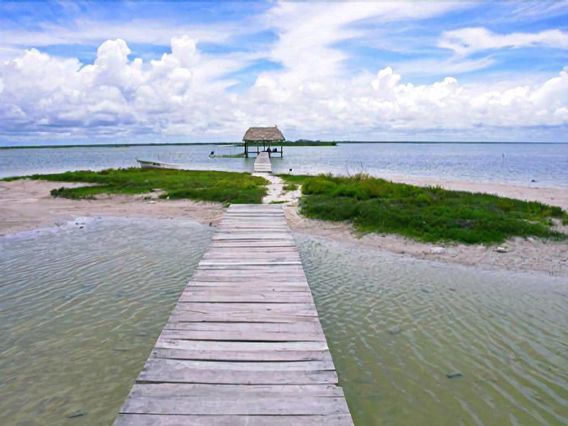 C039FAAA6231827E5FEF12D492D31AF1