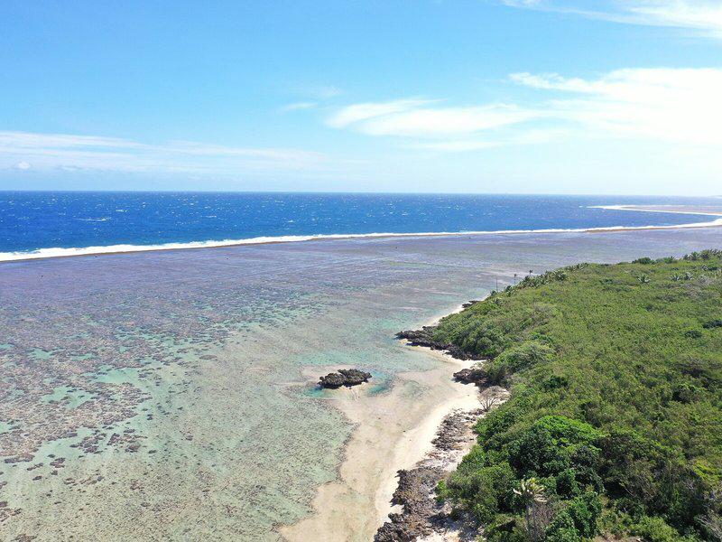 6646C2B0D7BB34333A3BF7376C761DF1