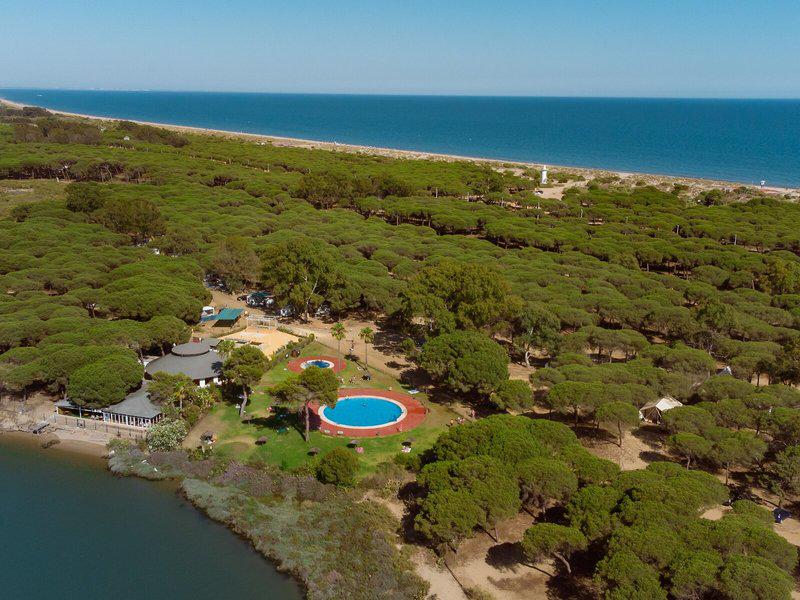 D2E22DE0FC12ACE1FF33FAC2D1835657