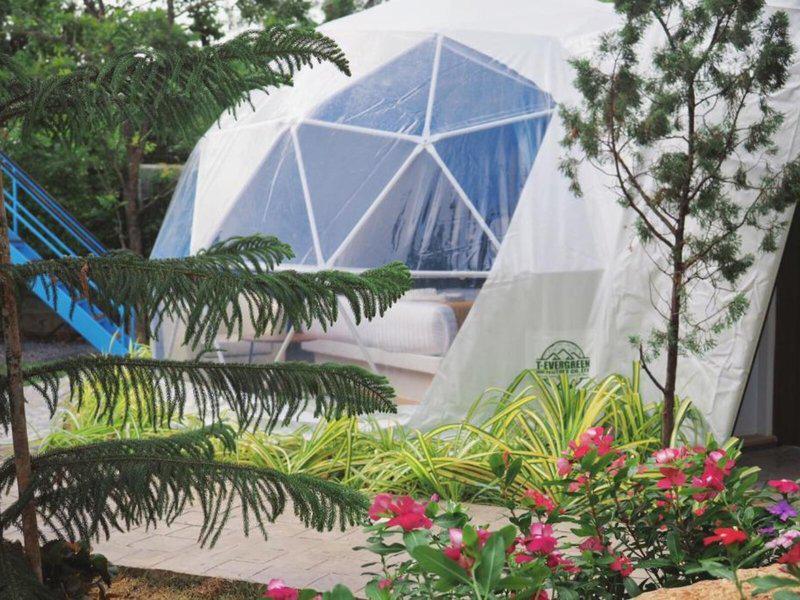 06894CC31653CA32A64D99A86AD9D55A