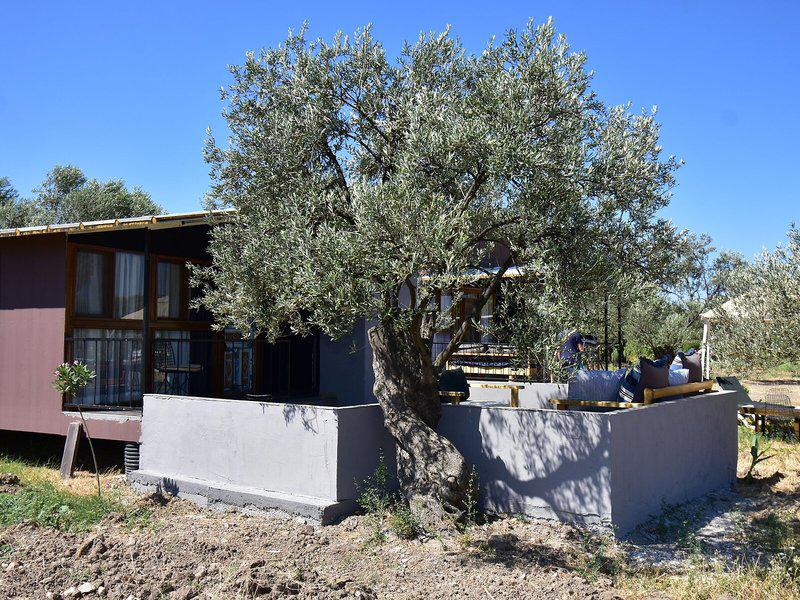 0017A036DD5E99D9D3EADD8BF56CC05D