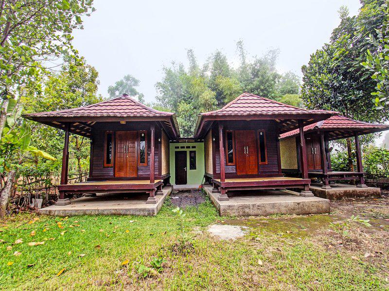 284A5EF2D4C5A6523A6C1192DB6A14B0