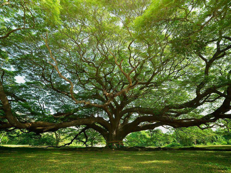 4F94492F0FB8FB4CA6A501BB862D00F6