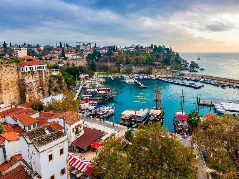 E7D4801F387EBA8440E8FD5CA083DA09