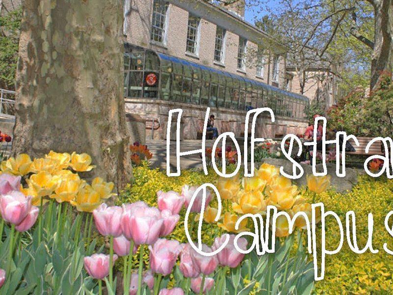 27713758B4B8B96A3175FC7993EBA98C