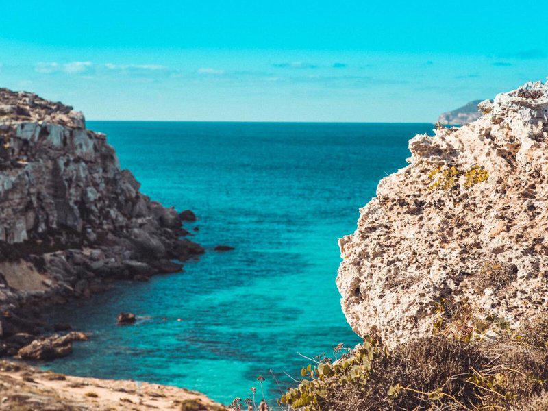 29DC34F98A9BDC7494C62E192ED1E614