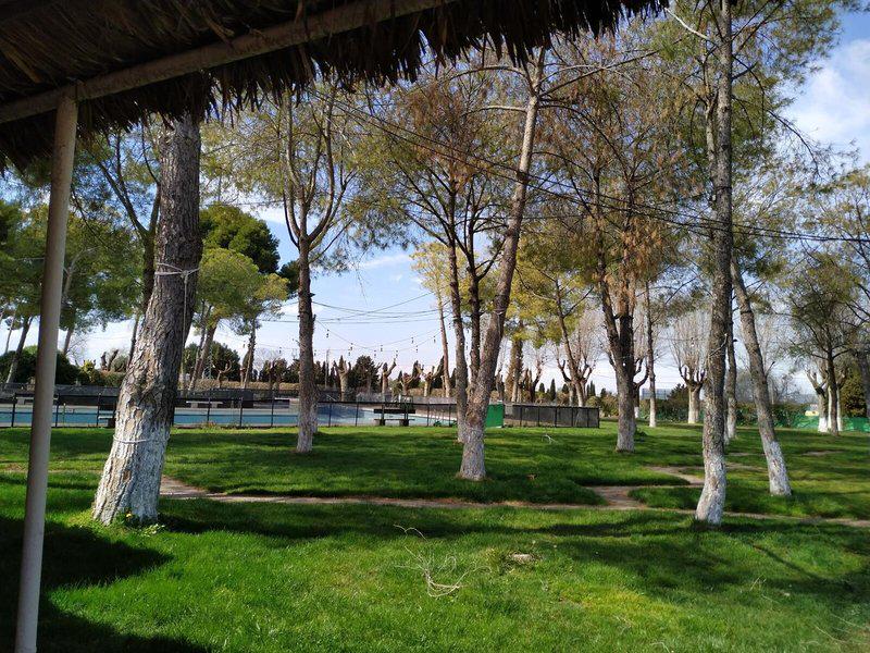 2A3210A62FE48D44E5CC3433A54A360E