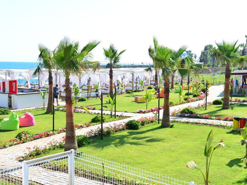 01CF49600829699B2A6CC10F6350AB8E