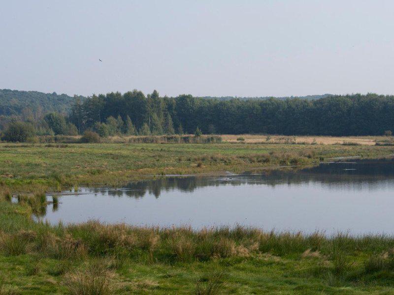 3BA8A73F168E70084DBF3D207F870E55