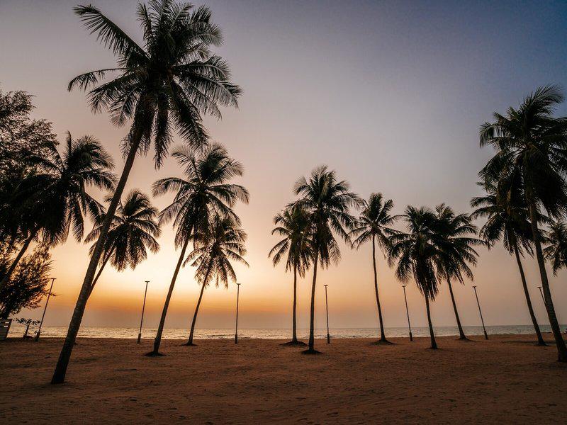 33514A855BD2D84B4741C8BEFF6272CE