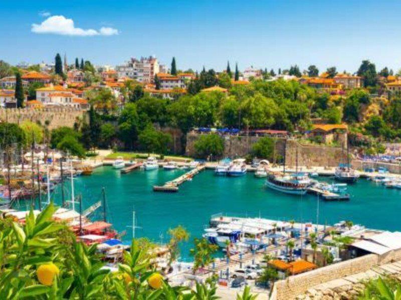 267BFD7968B5F1ED4D4C99B5A817613B