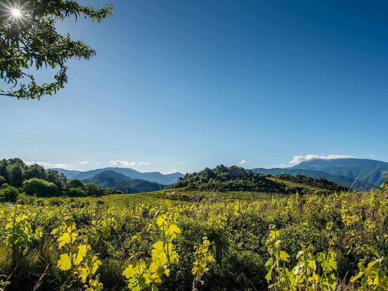 9344AD240C9EF82262DD04B7E5EC9D4E